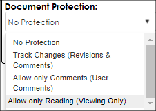Document Protection dropdown