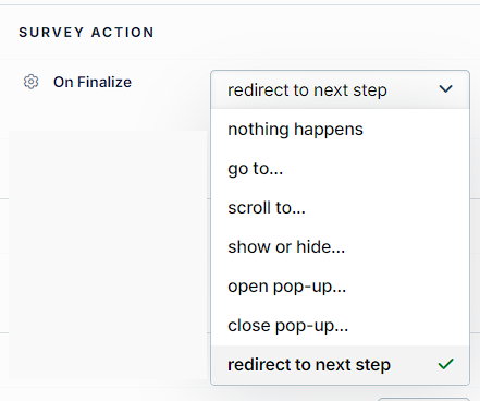 Image showing the On Finalize options.