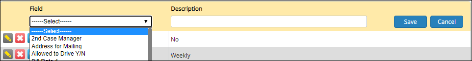 Client Custom Fields
