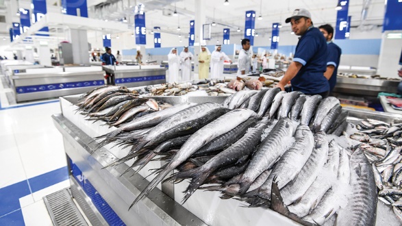 A group of fish on a counter Description automatically generated