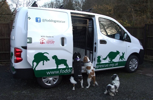 A group of dogs standing in front of a van Description automatically generated