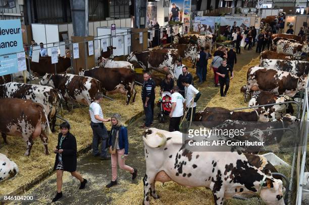 A group of people in a large room with cows Description automatically generated