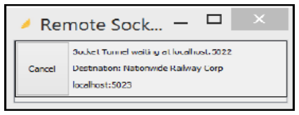 Remote Socket Number