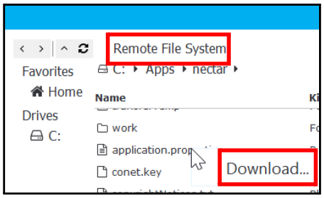 Download File from Remote File System