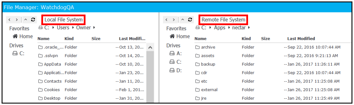 Local/Remote File System