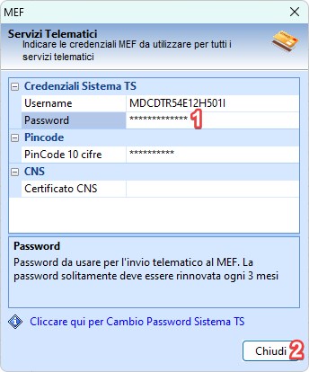 Password MEF.jpg